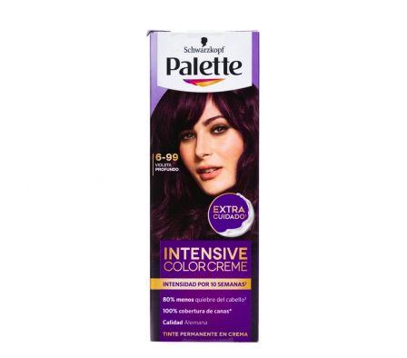 TINTE PALETTE 6-99 TUBO + OXIG. 50ML