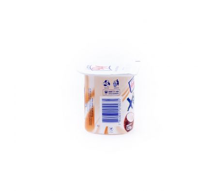 YOGHURT ENTERO XABOR COCO X 125GR