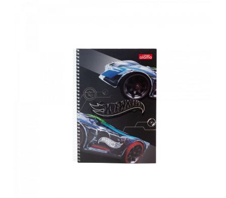 CUAD.UNI. ALAMO TD HOT WHEELS 96H CUADR.