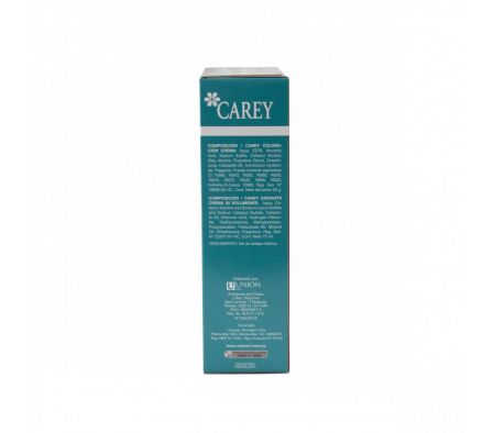 TINTE KIT CAREY C.RUBIO PLATINO 10.1