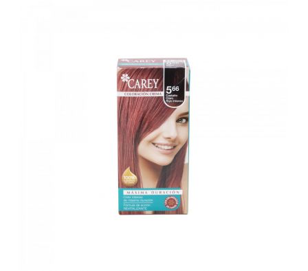 TINTE KIT CAREY CAST. CL.RIJIN 5.66
