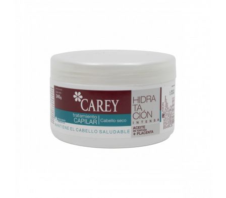 TRATAMIENTO CAREY CAPILAR CAB.SECO X 245GR (6)