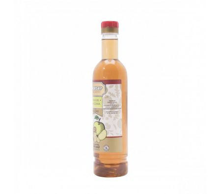 VINAGRE ALCAZAR DE MANZANA C/JENGIBRE 500CC (12)