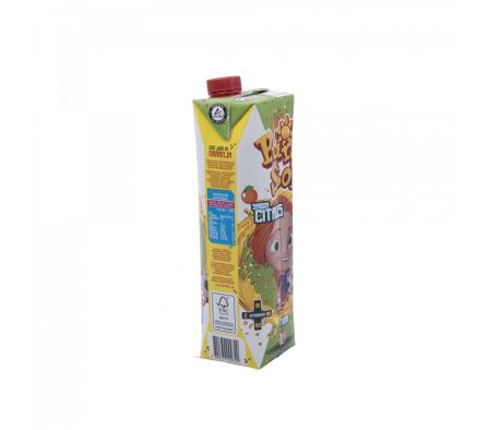 JUGO TETRA PURO SOL CITRUS 1 LT.