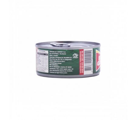ATUN EN TROZOS BON GUSTO AL ACEITE (48)