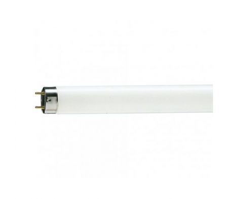 TUBO FLOURESCENTE PHILIPS LUZ DIA LARGO X 36W (25)