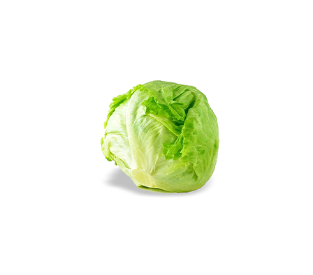Lechuga